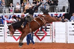 Fort Worth Stock Show - Dickies Arena Rodeo